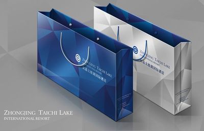 深圳企業(yè)形象設(shè)計(jì)公司 專業(yè)VI策劃設(shè)計(jì)服務(wù)助力企業(yè)品牌提升